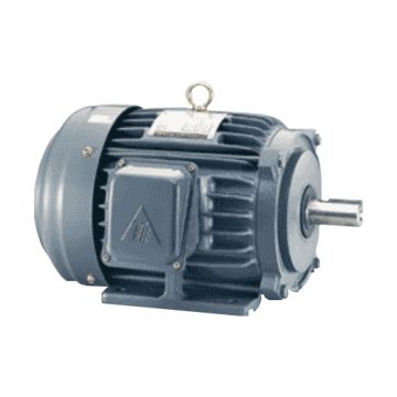 Definite Purpose Motors TECO