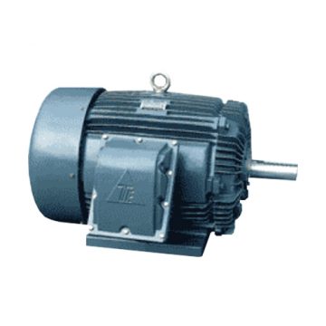 Explosion Proof Motors TECO