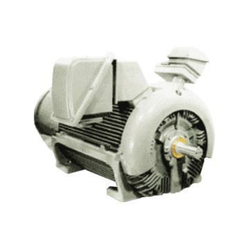 High Voltage 3 Phase Motors TECO