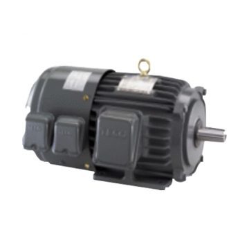 Inverter Duty Motor TECO