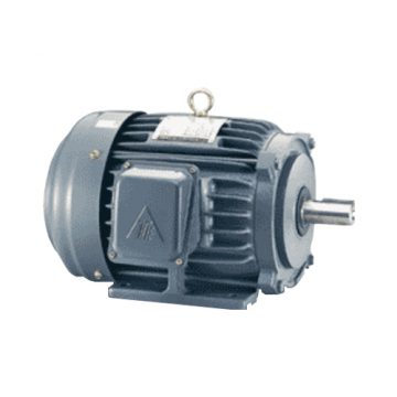 Low Voltage 3 Phase Motors TECO