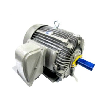 NEMA Super Premium Efficiency Motor TECO