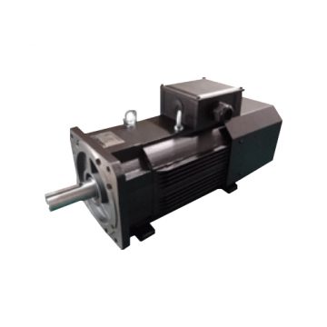 Permanent Magnet Motor TECO