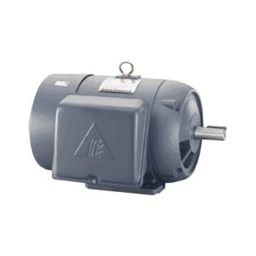 Single Phase Motors TECO