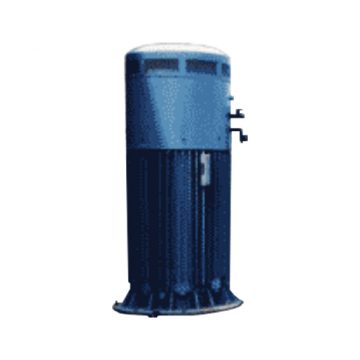 Vertical Motors TECO