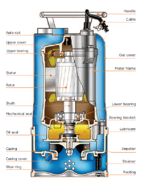 HCP AS 6