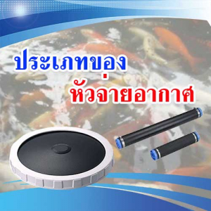 ประเภทของหัวจ่ายอากาศ