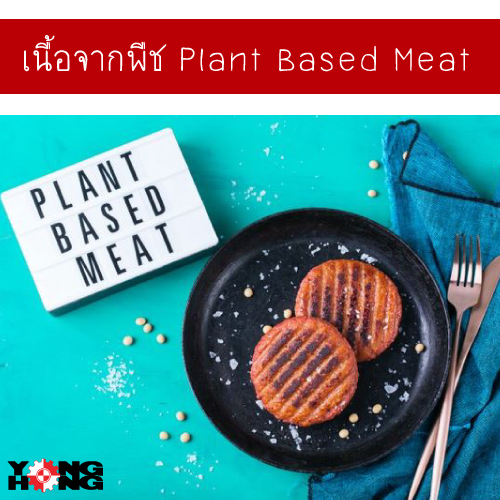 เนื้อจากพืช Plant Based Meat เนื้อสัตว์จากพืช